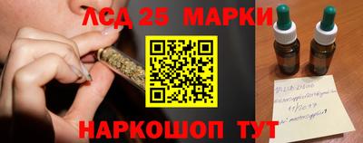 гидра Можга