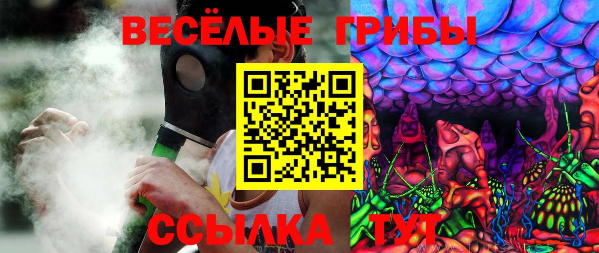 Псилоцибиновые грибы MAGIC MUSHROOMS  Галлюциногенные грибы Magic Shrooms  Сызрань  Вход с VPN 